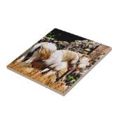 HORSES TEGELTJE (Zijkant)