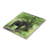 HORSES TEGELTJE (Zijkant)