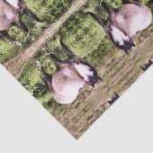 HORSES TISSUEPAPIER (Detail)