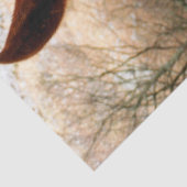 HORSES TISSUEPAPIER (Detail)