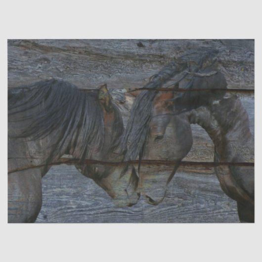 Horses Tissuepapier (Voorkant)