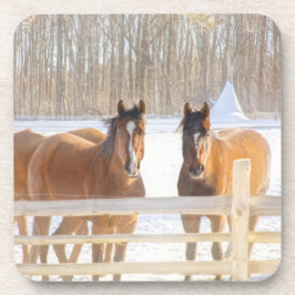 Horses Vermont Winter Hard Plastic Coaster Bier Onderzetter