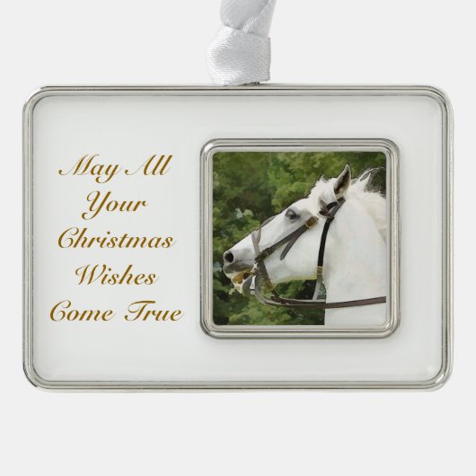 HORSES VERZILVERD KADER ORNAMENT (Voorkant)