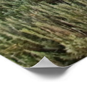 Horses Walk Poster (Hoek)