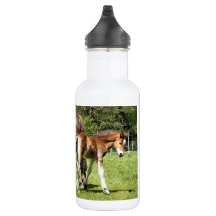 HORSES WATERFLES