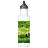 HORSES WATERFLES  (Links)