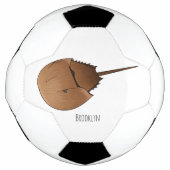 Horseshoe crab (Devant)