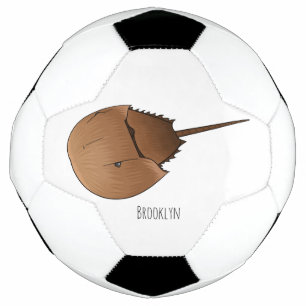 Horseshoe crab