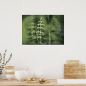 Horsetail Fotogroen bloemontwerp Poster (Keuken)