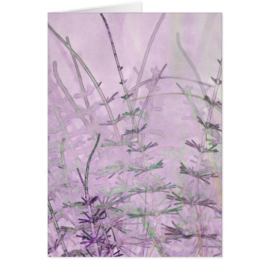 Horsetail Grass/Stems Card (Voorkant)
