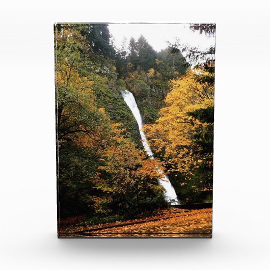 Horsetail-Herfsten, OF Fotoblokken (Voorkant)