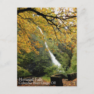Horsetail-Herfsten, Oregon Briefkaart