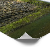 Horsetail-Herfsten, Oregon Poster (Hoek)