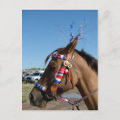 Horsey 4th briefkaart (Voorkant)