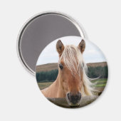 Horsie Magneet (Voorkant / Achterkant)