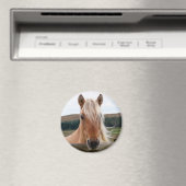 Horsie Magneet (Insitu (Vaatwasser))