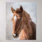HORSIE POSTER (Devant)