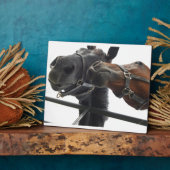 Horsing Around Fotoplaat (Zijkant)