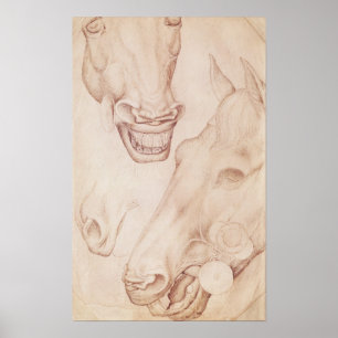 Horskoppen uit het Album van de Vallardi Poster