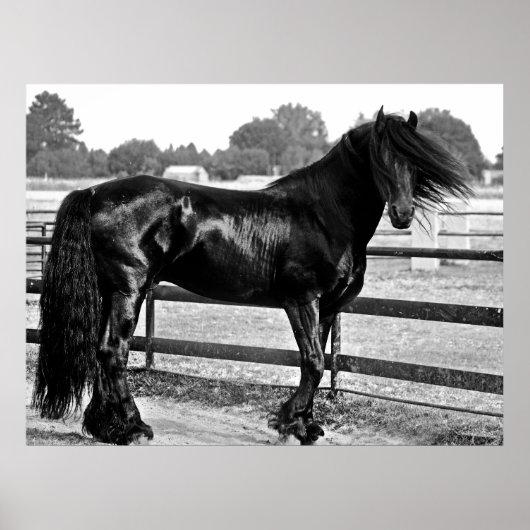 Horsmodellering Poster (Voorkant)