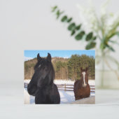 HORSSCENTS BRIEFKAART (Staand voorkant)