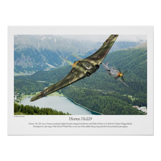 Horten Ho229 Perfect Poster (Voorkant)