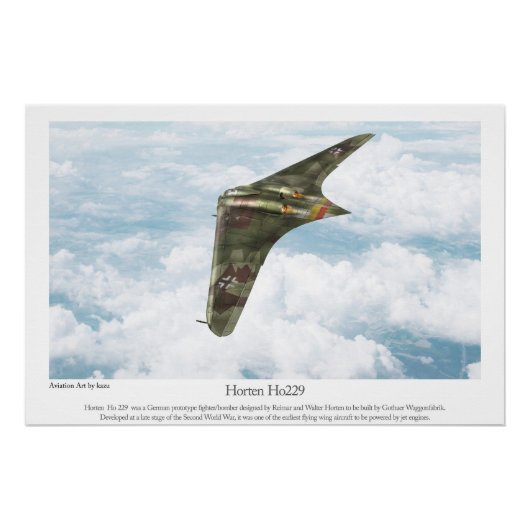 Horten Ho229 Perfect Poster (Voorkant)