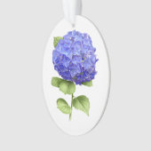 Hortensia Bleu (devant)