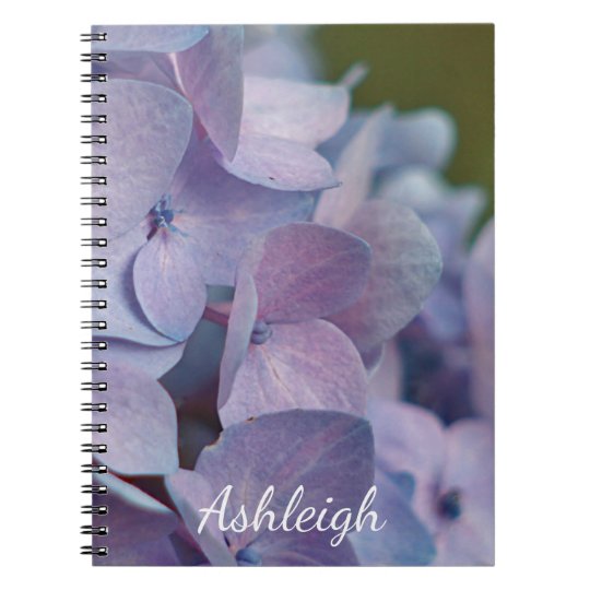 Hortensia bleu carnet