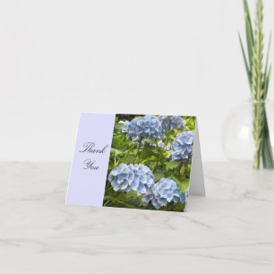 Hortensia Bleu Merci