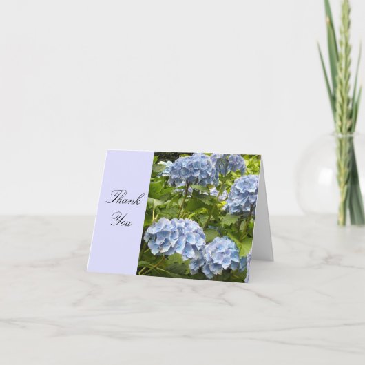 Hortensia Bleu Merci (Devant)