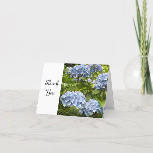 Hortensia Bleu Merci