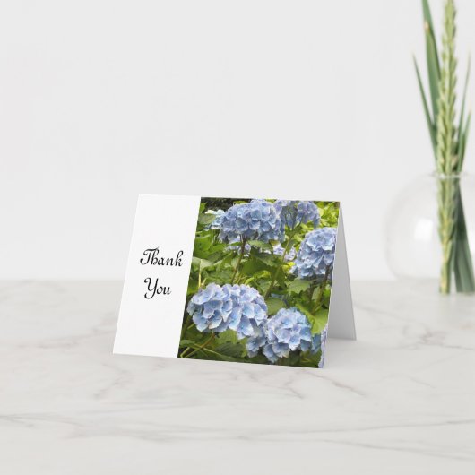 Hortensia Bleu Merci (Devant)