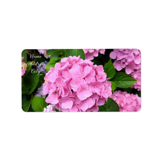 Hortensia Garden Walk Etiket (Voorkant)