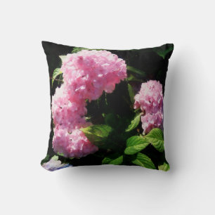 Hortensia in de zonneschijn kussen
