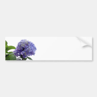 Hortensia Struik Stickers