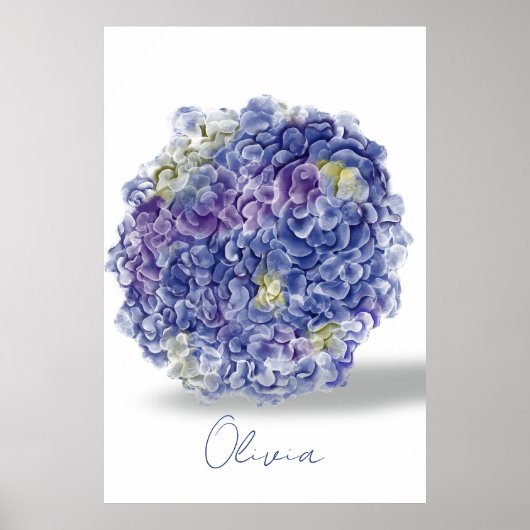 Hortensia's in waterverf met naam poster (Voorkant)