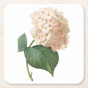 hortensie (Hydrangea sp.) door Redouté Vierkante Kartonnen Onderzetter