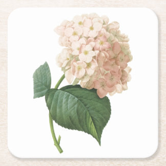 hortensie (Hydrangea sp.) door Redouté Vierkante Kartonnen Onderzetter