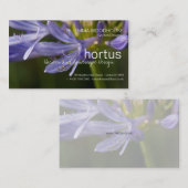 Hortus - carte de visite d'Agapanthus (Devant / Derrière)
