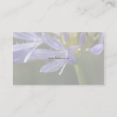 Hortus - carte de visite d'Agapanthus (Dos)
