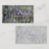 Hortus - Carte de visite de Lavendar (Devant / Derrière)