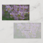 Hortus - carte de visite de Thalictrum (Devant / Derrière)