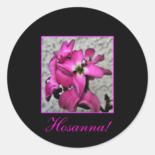 Hosanna ! autocollant à fleurs roses (Devant)