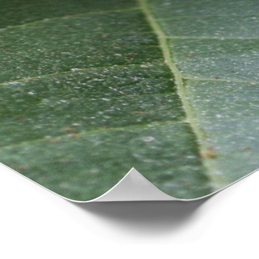 Hosea 4:6 Poster voor scripts (Hoek)