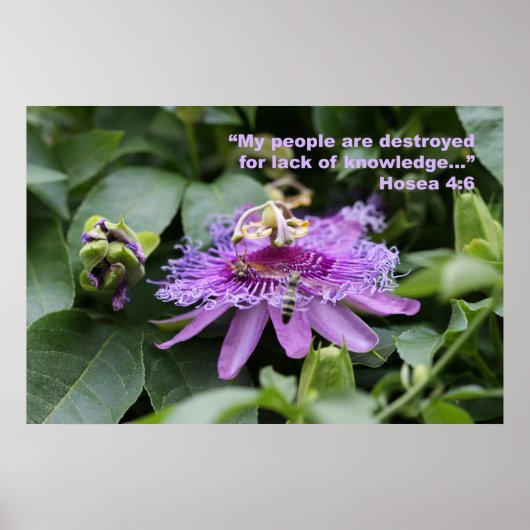 Hosea 4:6 Poster voor scripts (Voorkant)