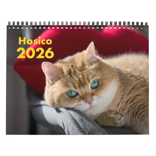 Hosico Calendar 2026 Kalender (Hoes)