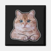 Hosico Cat Magneet (Voorkant)
