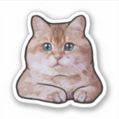 Hosico Cat Sticker (Voorkant)