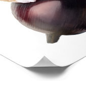 Hosico Epifania Poster (Hoek)